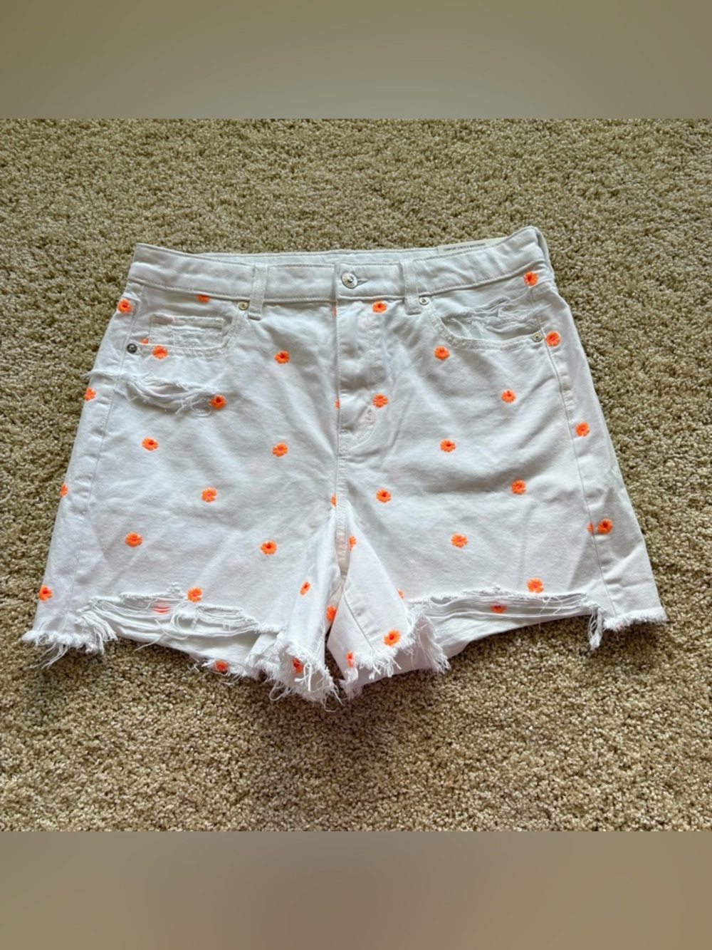 American Eagle Highest Rise Baggy Shorts White Distressed Floral Embroidered 10